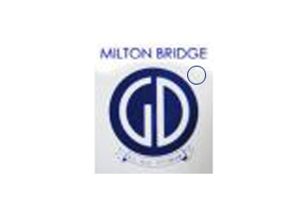 Прозрачные эмали MILTON BRIDGE